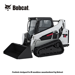 Bobcat