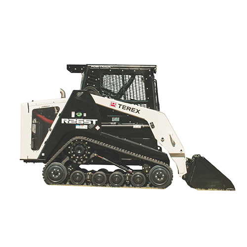 R265T R265T